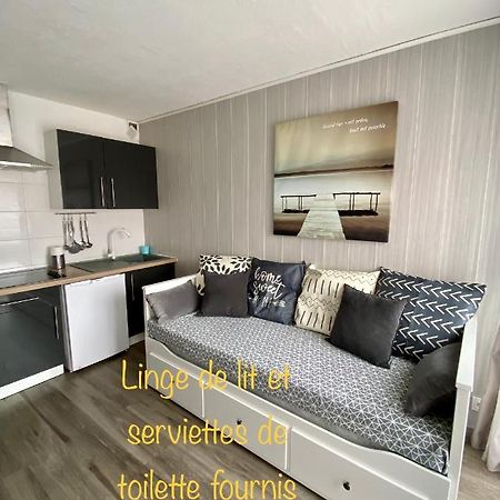 Studio Cabine Centre Port Cap D'Агд Экстерьер фото