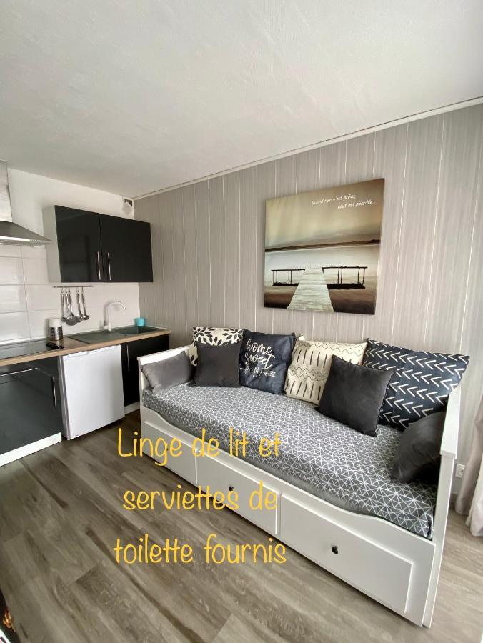 Studio Cabine Centre Port Cap D'Агд Экстерьер фото